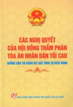 Các nghị quyết của Hội đồng Thẩm phán Tòa án nhân dân tối cao hướng dẫn thi hành Bộ luật hình sự hiện hành