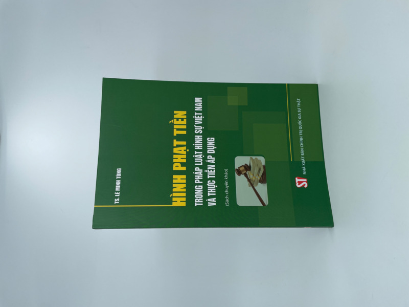 Hình phạt tiền trong pháp luật hình sự Việt Nam và thực tiễn áp dụng (Sách chuyên khảo)