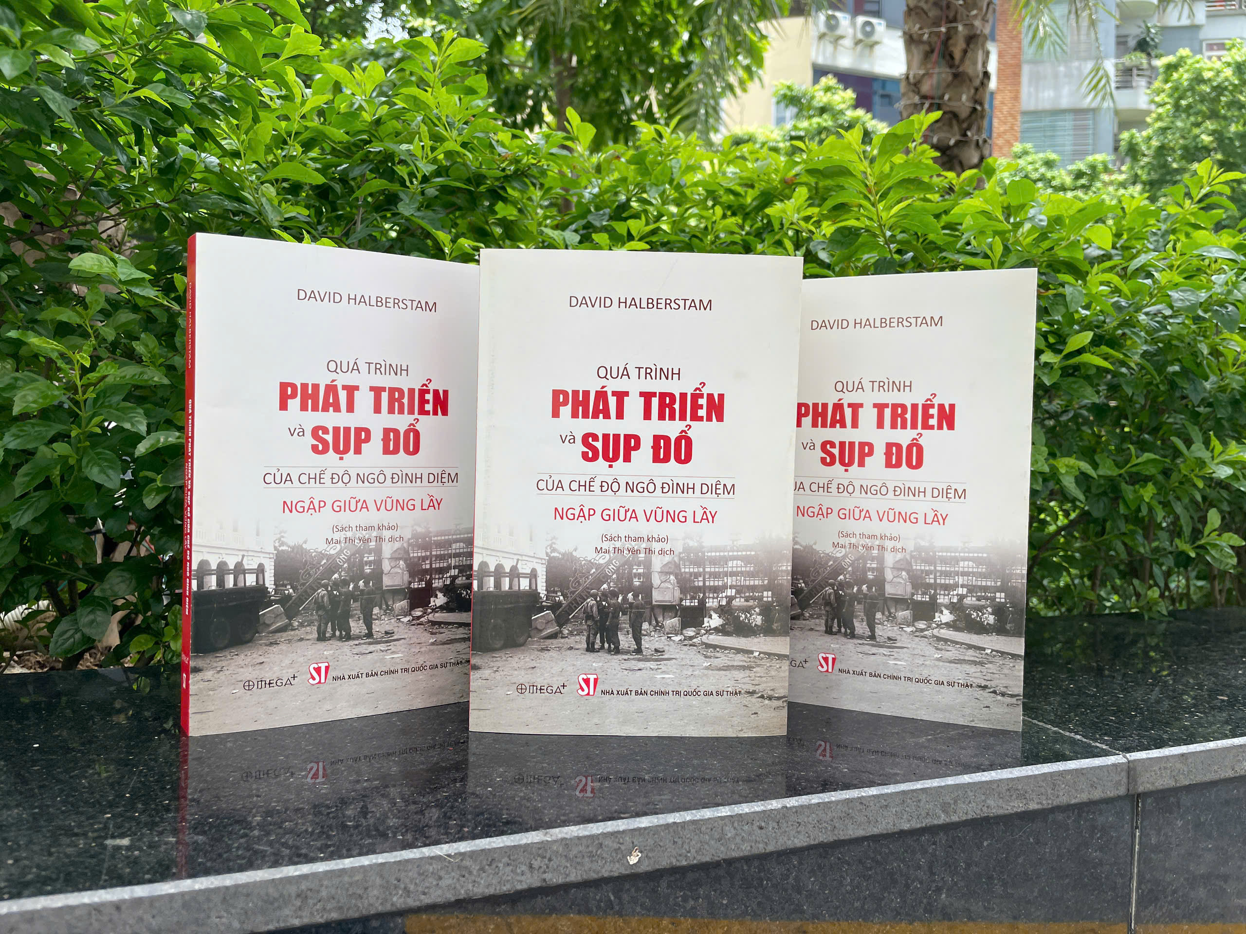 Quá trình phát triển và sụp đổ của chế độ Ngô Đình Diệm - Ngập giữa vũng lầy (Sách tham khảo)